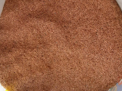 德赢·(VWIN)官方网站-AC米兰官方相助同伴